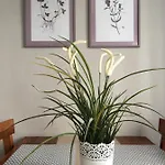 Sternchen Appartement *