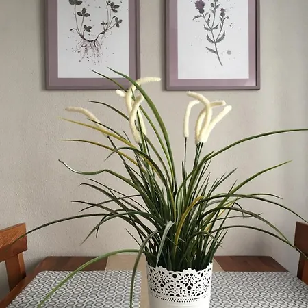 Sternchen Διαμέρισμα *