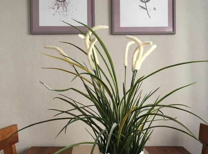 Sternchen Apartmán *